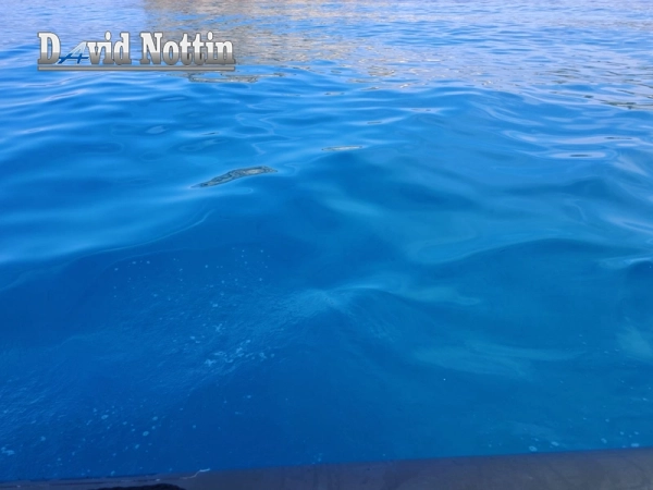 balade-mer-corse-saint-florent-snorkelling-eaux-turquoises (1)