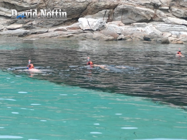 balade-mer-corse-saint-florent-snorkelling-eaux-turquoises (11)