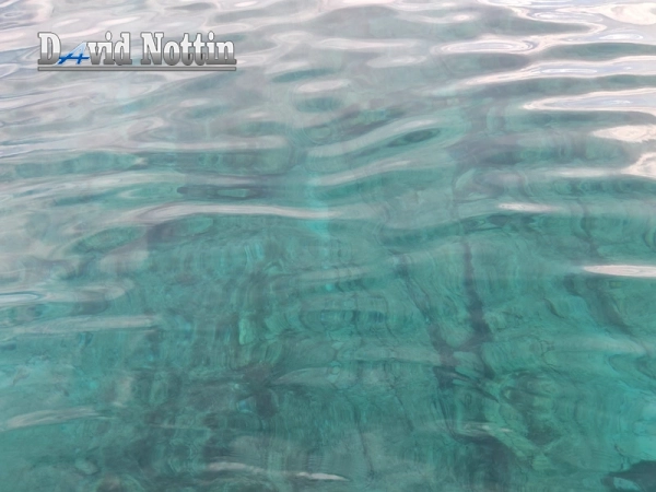balade-mer-corse-saint-florent-snorkelling-eaux-turquoises (13)