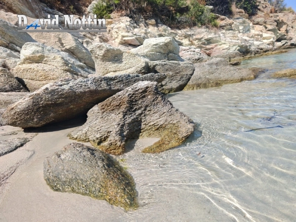balade-mer-corse-saint-florent-snorkelling-eaux-turquoises (7)